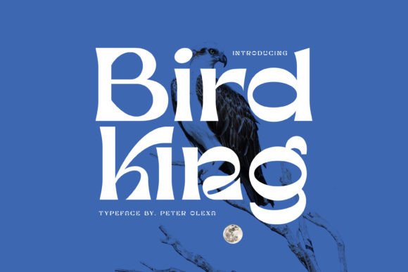 Bird King: A Playful Serif Font for Standout Digital Headlines