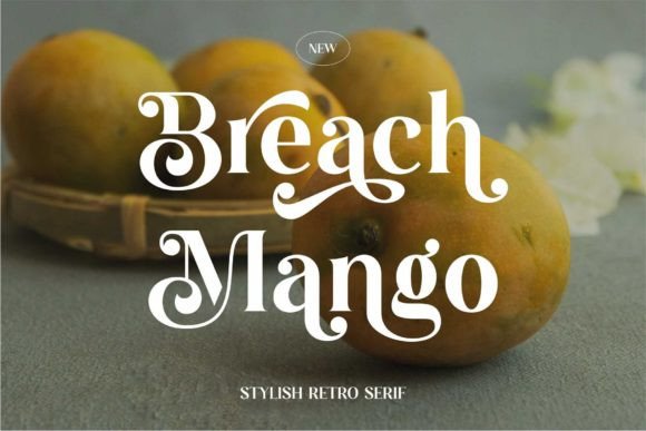 Breach Mango Serif Font for Digital Branding