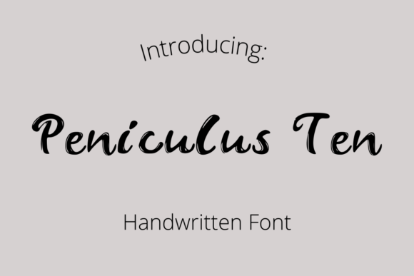 Peniculus Ten: A Vintage Script Font That Builds Brand Warmth