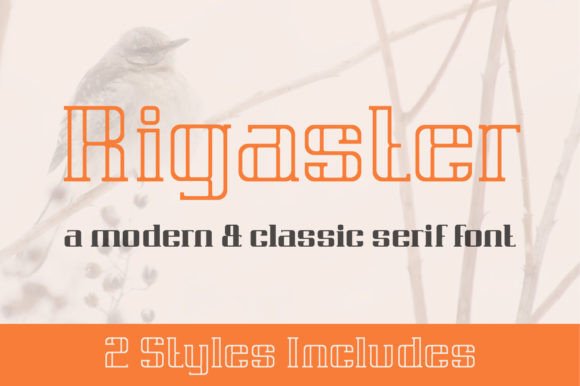 Rigaster: A Serif Font That Anchors Editorial Calm