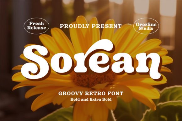 Sorean: A Groovy Retro Serif Font for Scroll-Stopping Campaigns